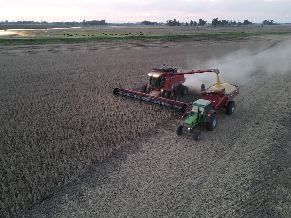 Aumento en los costos estratégicos impacta la producción agrícola y su rentabilidad a largo plazo