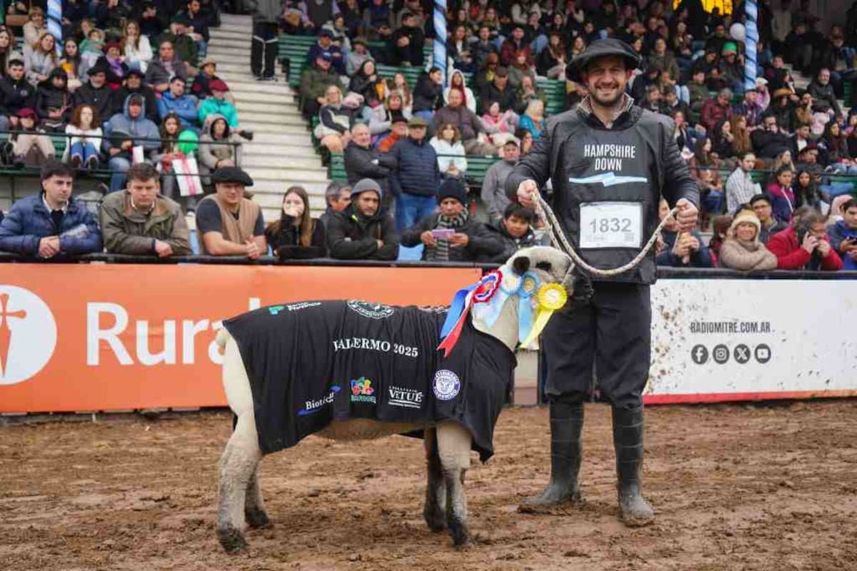 Hampshire Down se destacó en la Exposición Rural de Palermo con su impresionante presentación y ejemplares de calidad.