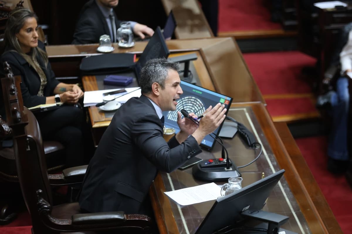 Emergencia en discapacidad. Una primera votación que revela la pérdida de aliados del oficialismo