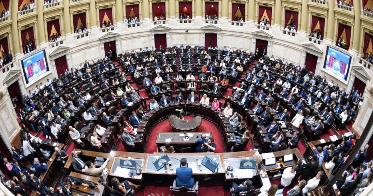 Elecciones 2025: ¿Cuántas bancas de Diputados estarán en juego en las legislativas nacionales de octubre?