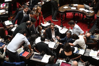 A la espera del tercer veto de Milei, la oposición define su estrategia para la ofensiva en Diputados