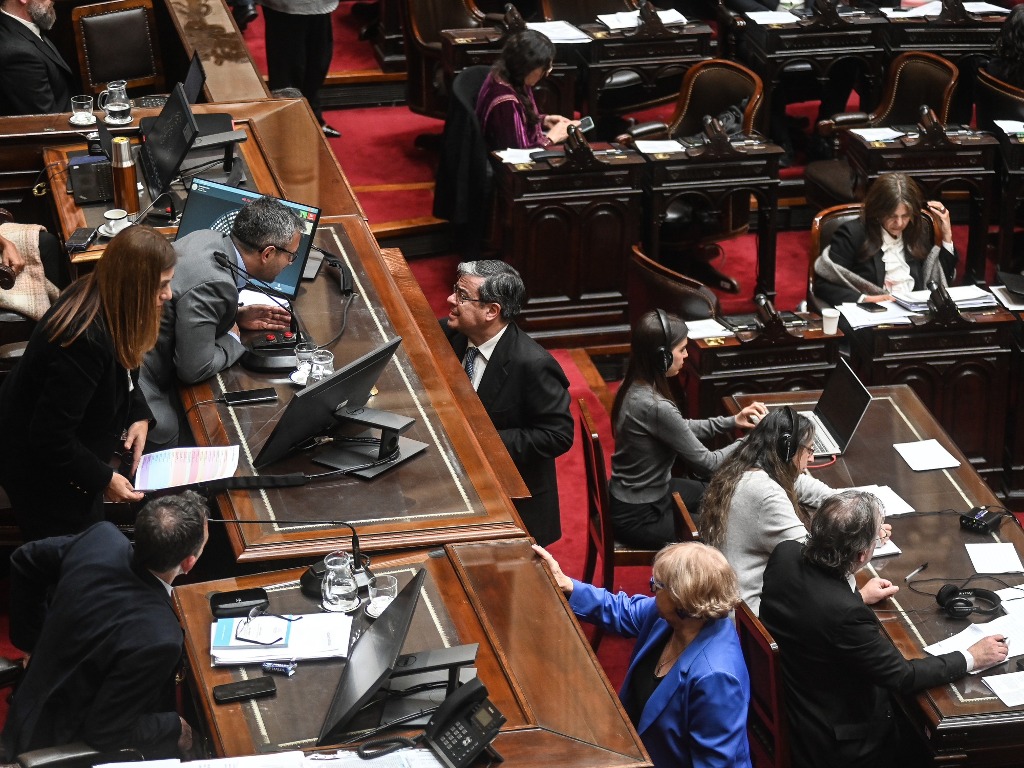 la oposición confía en voltear los vetos y el oficialismo depende de gobernadores y aliados