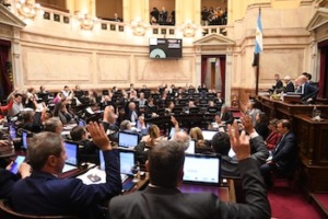Uno por uno: cómo votaron los senadores el rechazo al veto de la ley de emergencia en discapacidad