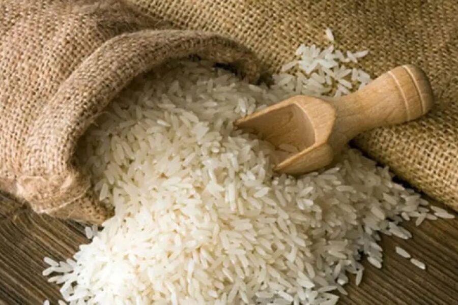 Sector arrocero en Argentina: “Entre Ríos es la provincia con mayores rendimientos por hectárea”