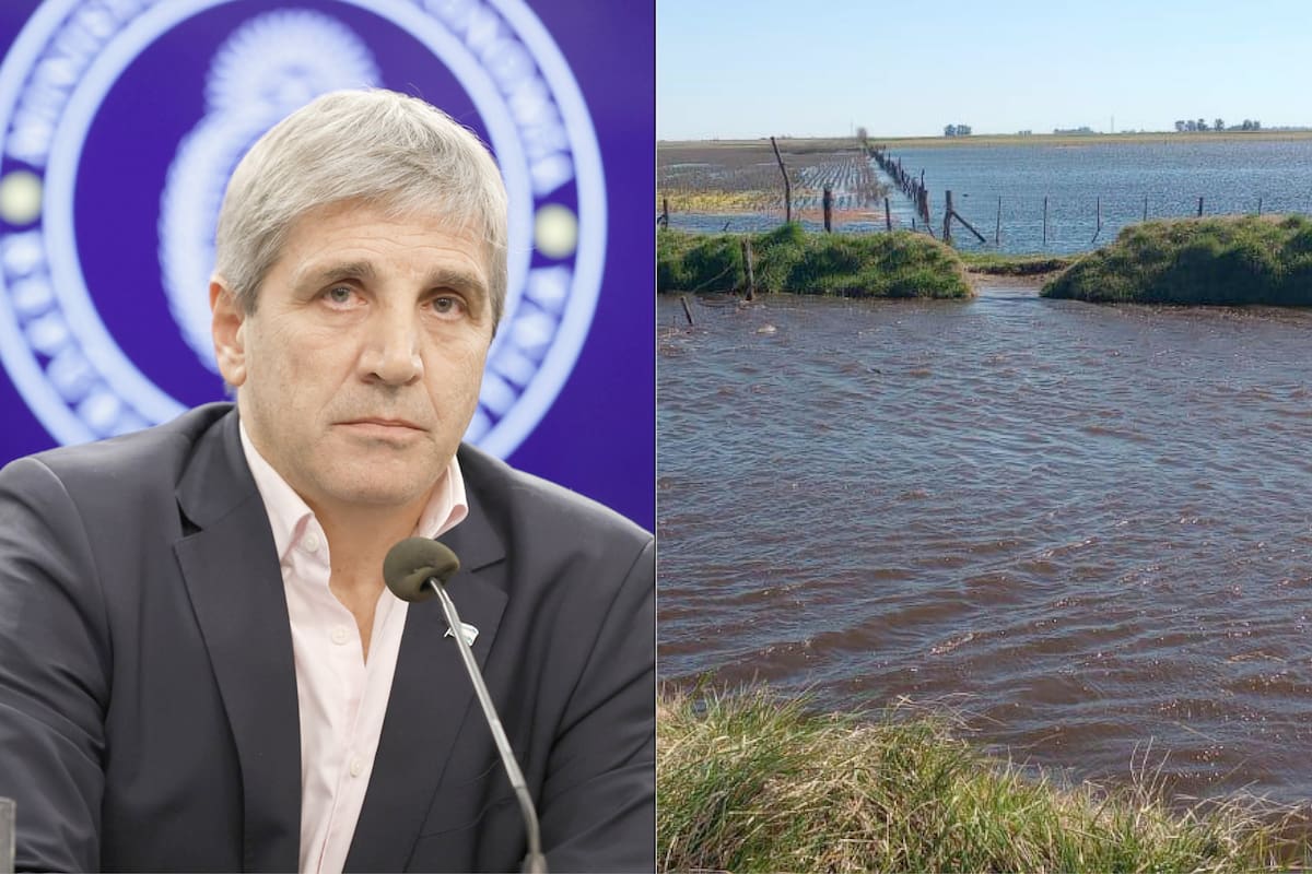 Gobierno declara emergencia agropecuaria en 12 distritos de Buenos Aires ante crisis en el sector agrícola