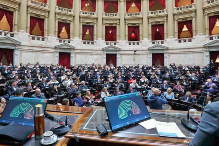 Miércoles caliente: sesión contra los vetos en Congreso, reunión de Gabinete con Milei en Rosada y marcha federal