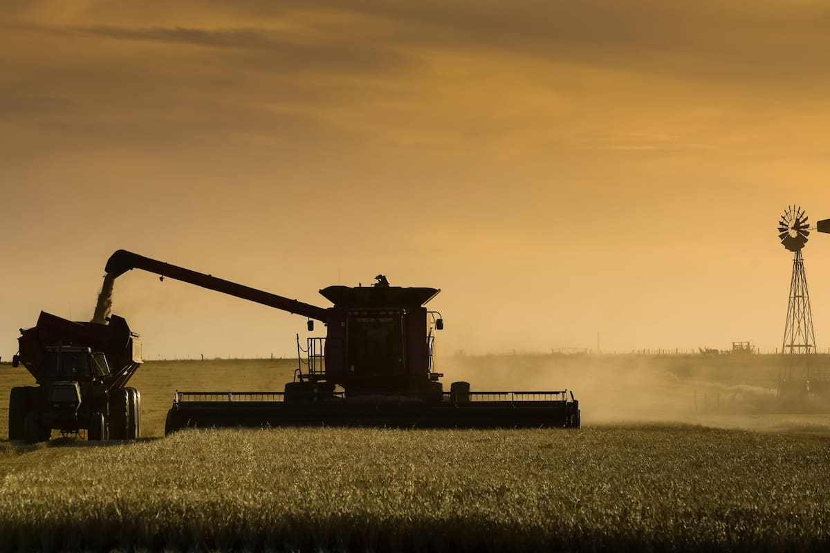 El Gobierno eliminará las retenciones para granos hasta el 31 de octubre, beneficiando a productores agrícolas.