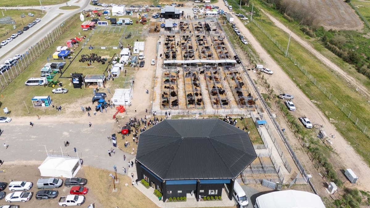 Remates de hacienda programados para la Semana Angus: fechas y detalles clave