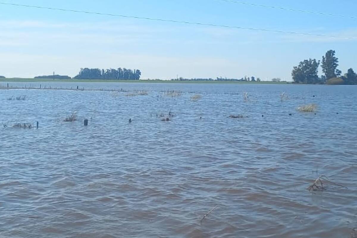 Alertan que la tormenta de Santa Rosa dejó una situación alarmante en una zona rural