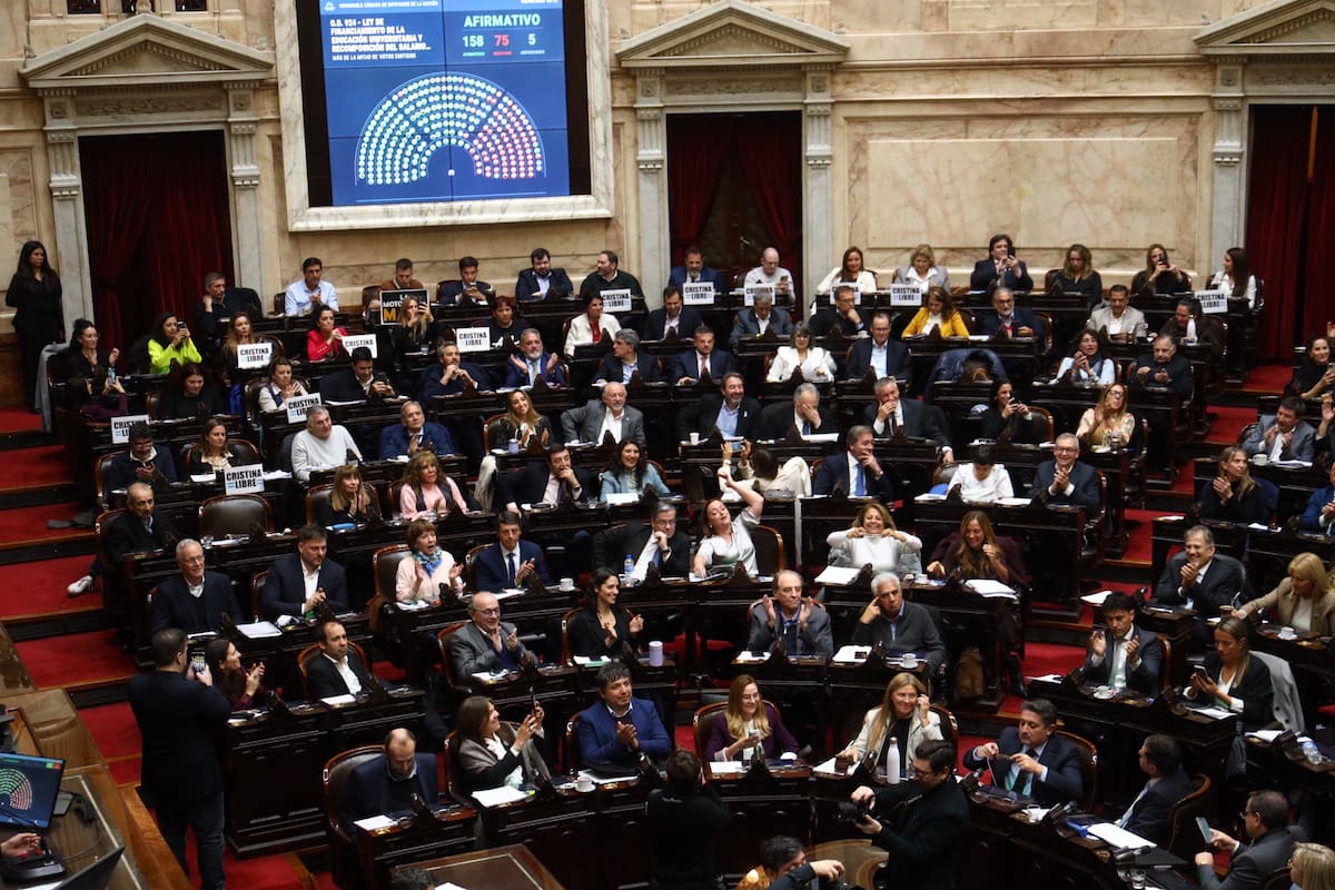 Diputados. La oposición se prepara para resistir los vetos del Gobierno y convocaría a una sesión la semana próxima