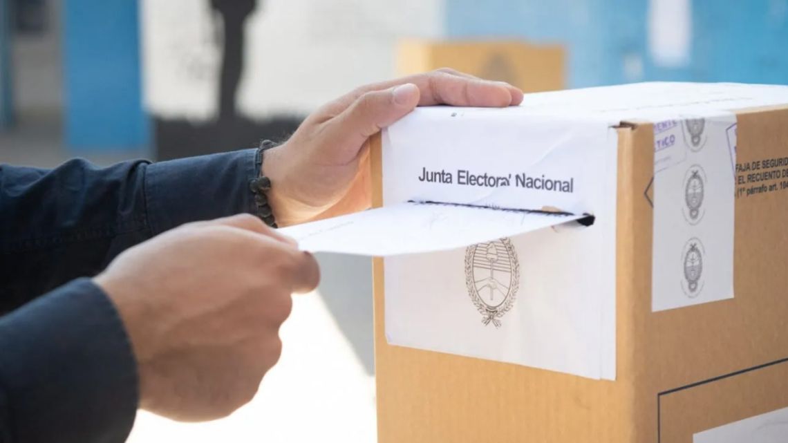 Elecciones legislativas del 26 de octubre: ¿qué se vota?