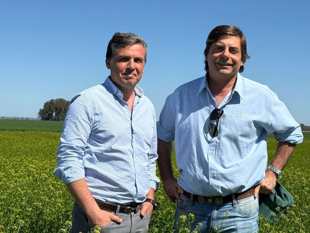Una firma italiana logra un importante avance en la agricultura de una región argentina