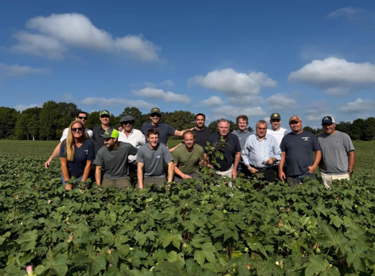 Argentina y Estados Unidos: un análisis de la distancia en producción agrícola y su impacto en el futuro cultivable.
