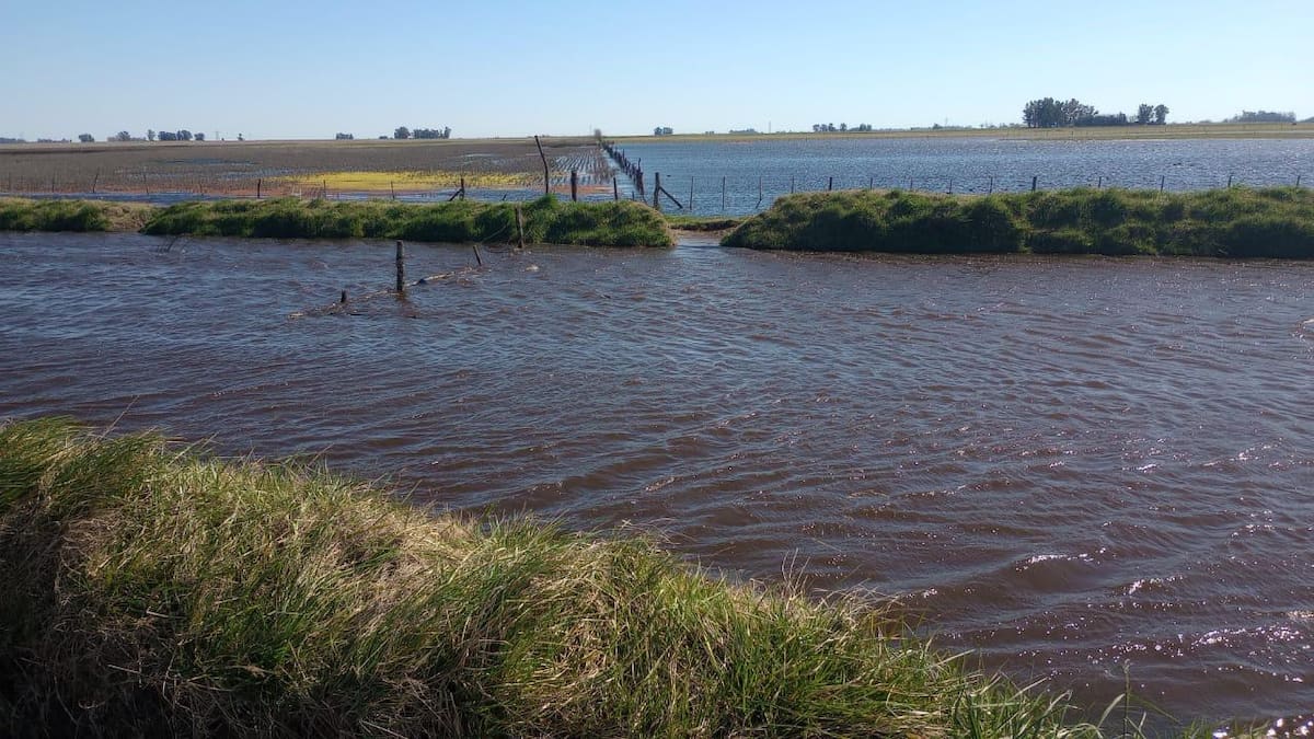 Inundaciones en el centro oeste de Buenos Aires: una crisis sin fin para la población afectada