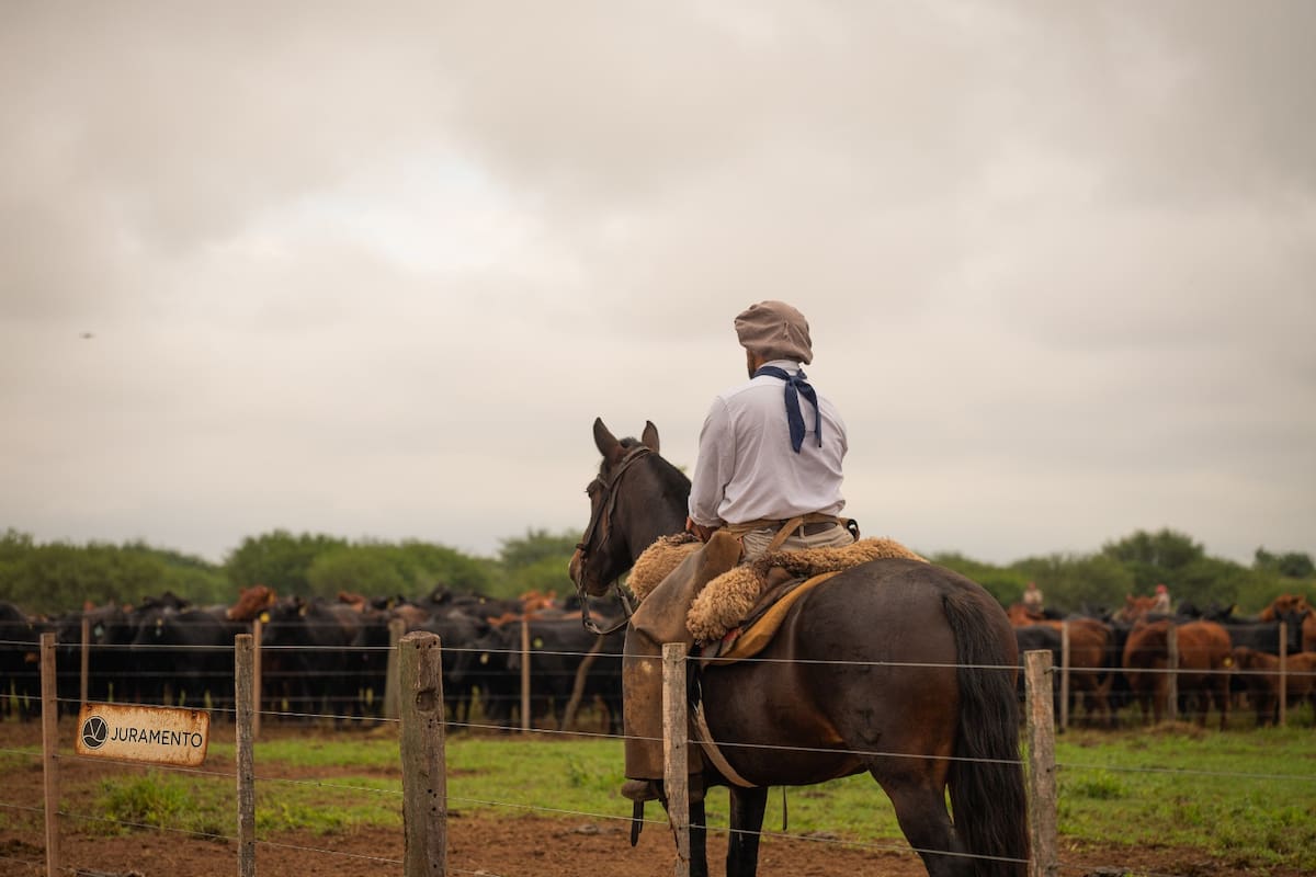 Juramento adquiere un campo en el norte por US$56,4 millones, consolidándose como líder en el agro.