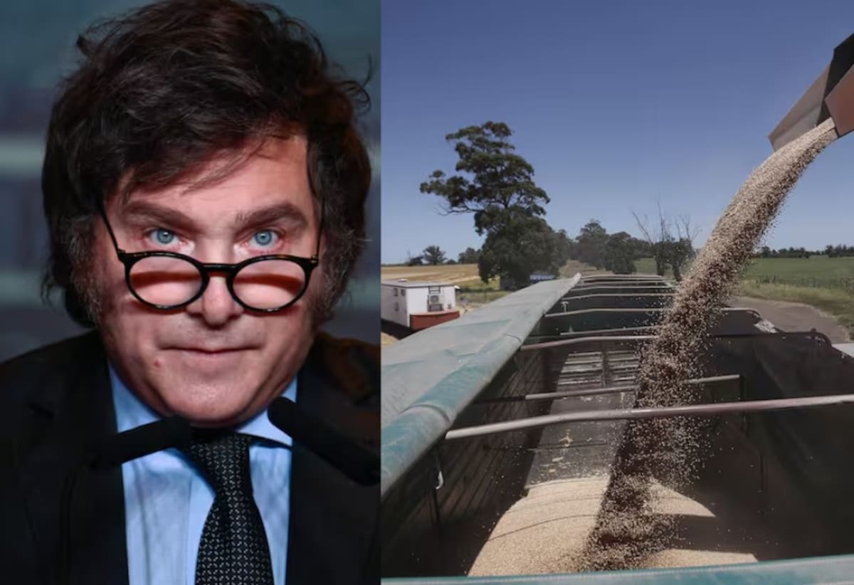 Cautela en el agro ante el aumento de retenciones que prevé el Gobierno para mejorar la recaudación fiscal