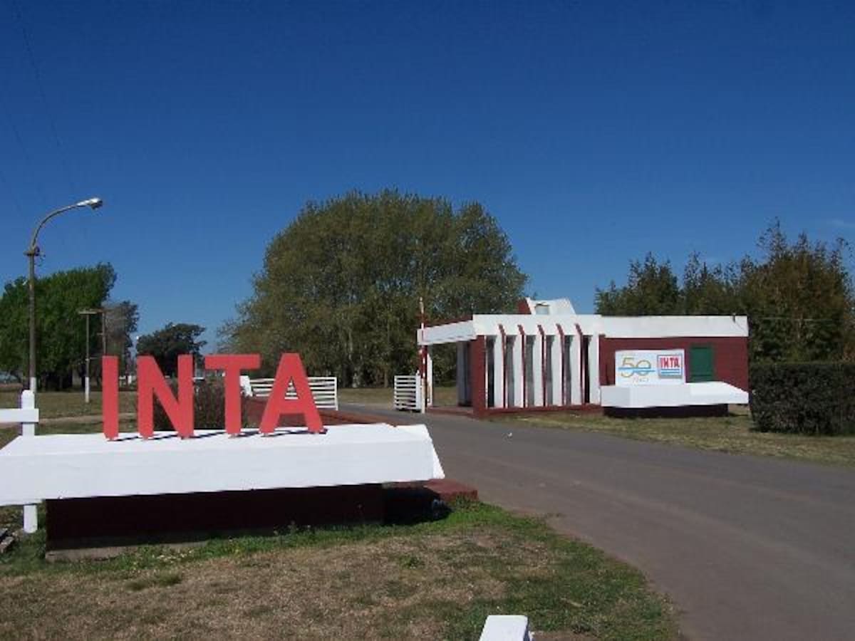 Gremios estatales expresan satisfacción ante la suspensión de la reforma del INTA y la falta de respuesta oficial