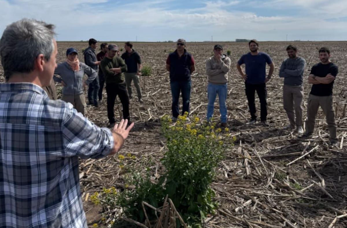 Las malezas evolucionan: lecciones para la adaptación humana en un mundo cambiante.