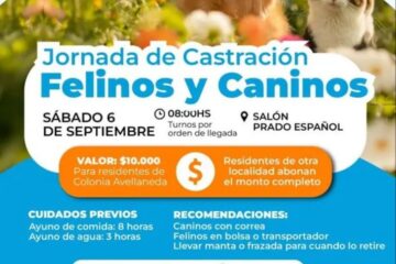 Jornada de castración en septiembre:
Cuidemos a nuestras mascotas