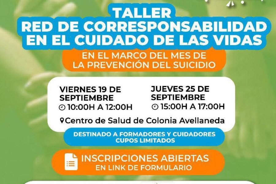 Taller Red de corresponsabilidad en el cuidado de las vidas