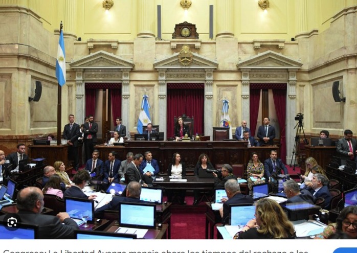 Congreso: La Libertad Avanza maneja ahora los tiempos del rechazo a los vetos