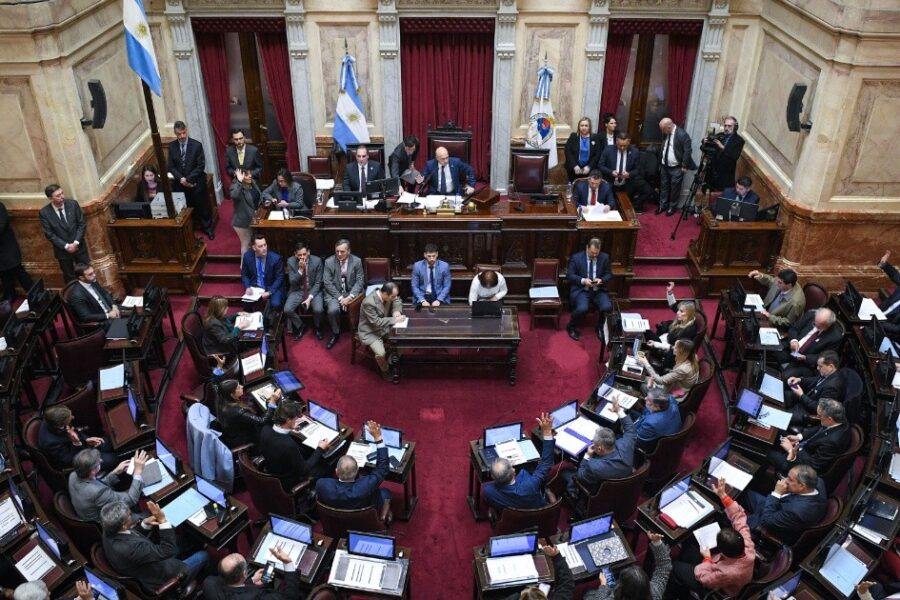 El Senado rechazó el veto presidencial a la Ley de Emergencia en Discapacidad: así votaron los senadores