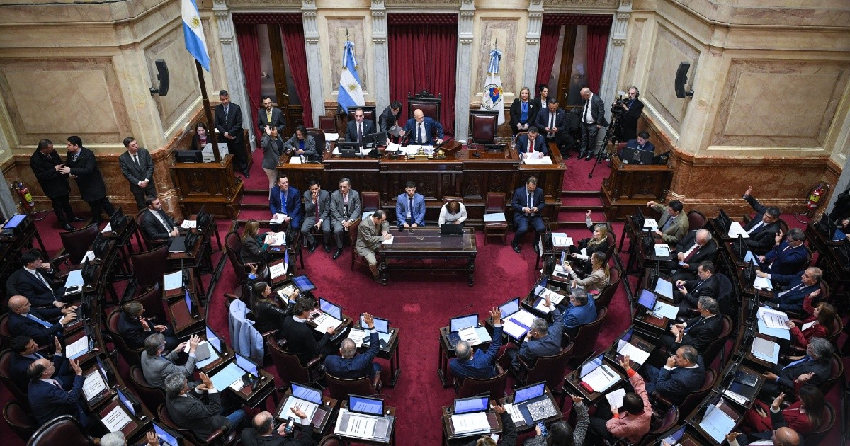 El Senado rechazó el veto presidencial a la Ley de Emergencia en Discapacidad: así votaron los senadores