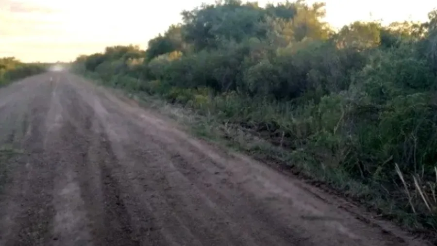 Restos hallados: la fiscal explicó por qué podrían tratarse del cuerpo del chofer asesinado por Pablo Laurta