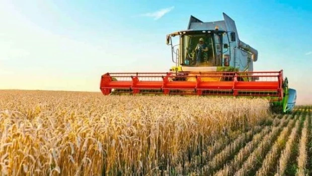 Estiman que la próxima campaña de trigo alcanzará un volumen récord