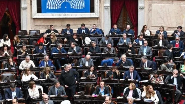 El PJ pone en juego el 50 % de sus bancas y La Libertad Avanza busca lograr un tercio