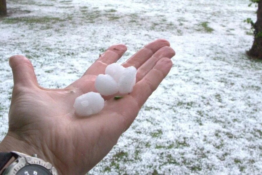 Emergencia agropecuaria por heladas y granizo en Entre Ríos: las zonas más afectadas