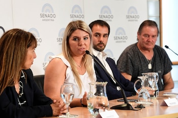 El macrismo en el Senado impulsa beneficios fiscales para empresas que desarrollen Inteligencia Artificial