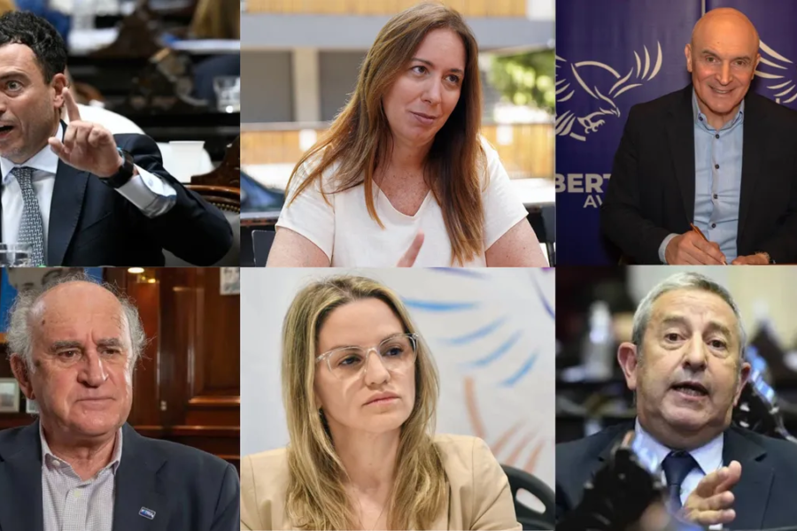 Renovación del Congreso: qué referentes no continuarán en Diputados y el Senado