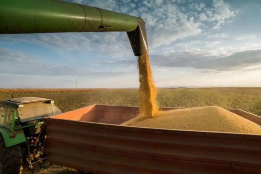 Se observan señales de una campaña sólida para el agro: “Hay lotes que están expresando un nivel de rindes excelentes”