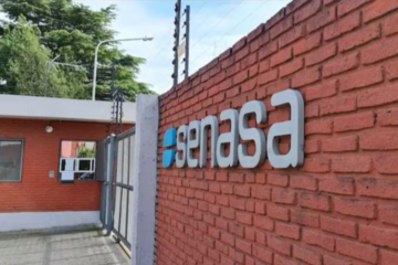 Exportadores de alimentos advierten que el Tesoro se queda con el 40% de los recursos del Senasa