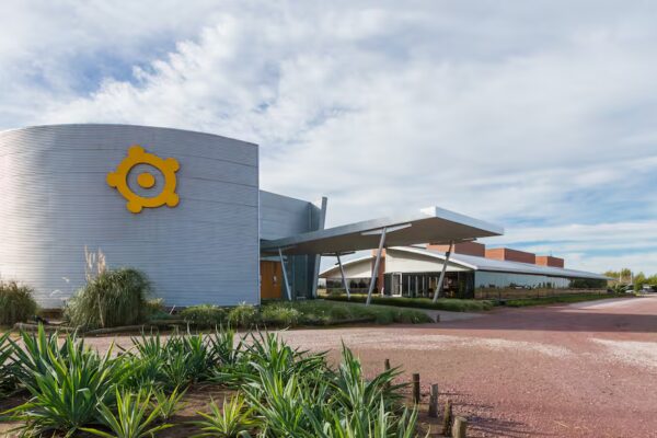 Tras perder más de $78.000 millones, Los Grobo Agropecuaria realiza una fuerte apuesta