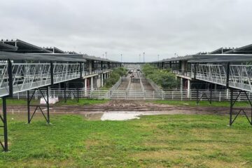 Escasa oferta en el Mercado Agroganadero de Cañuelas