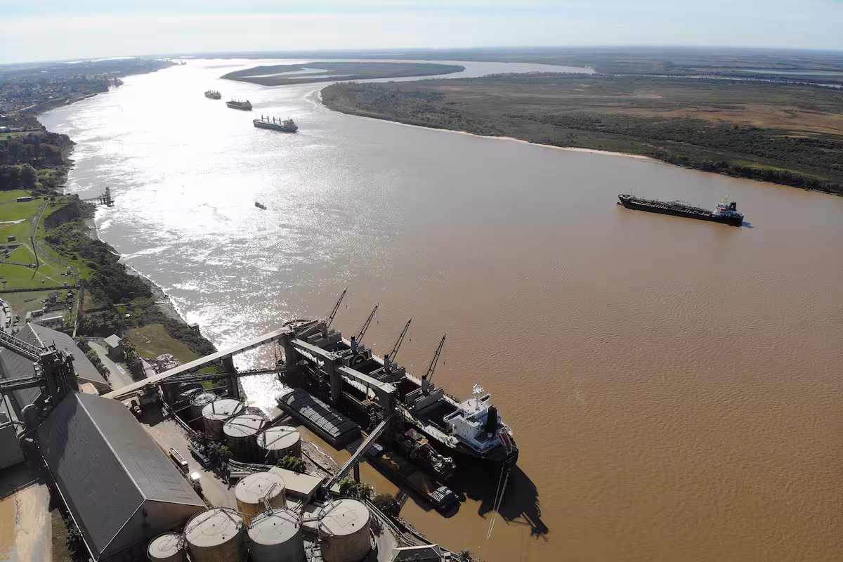 Molinos Agro y Dreyfus aseguran que ya tienen un fuerte apoyo para quedarse con Vicentin