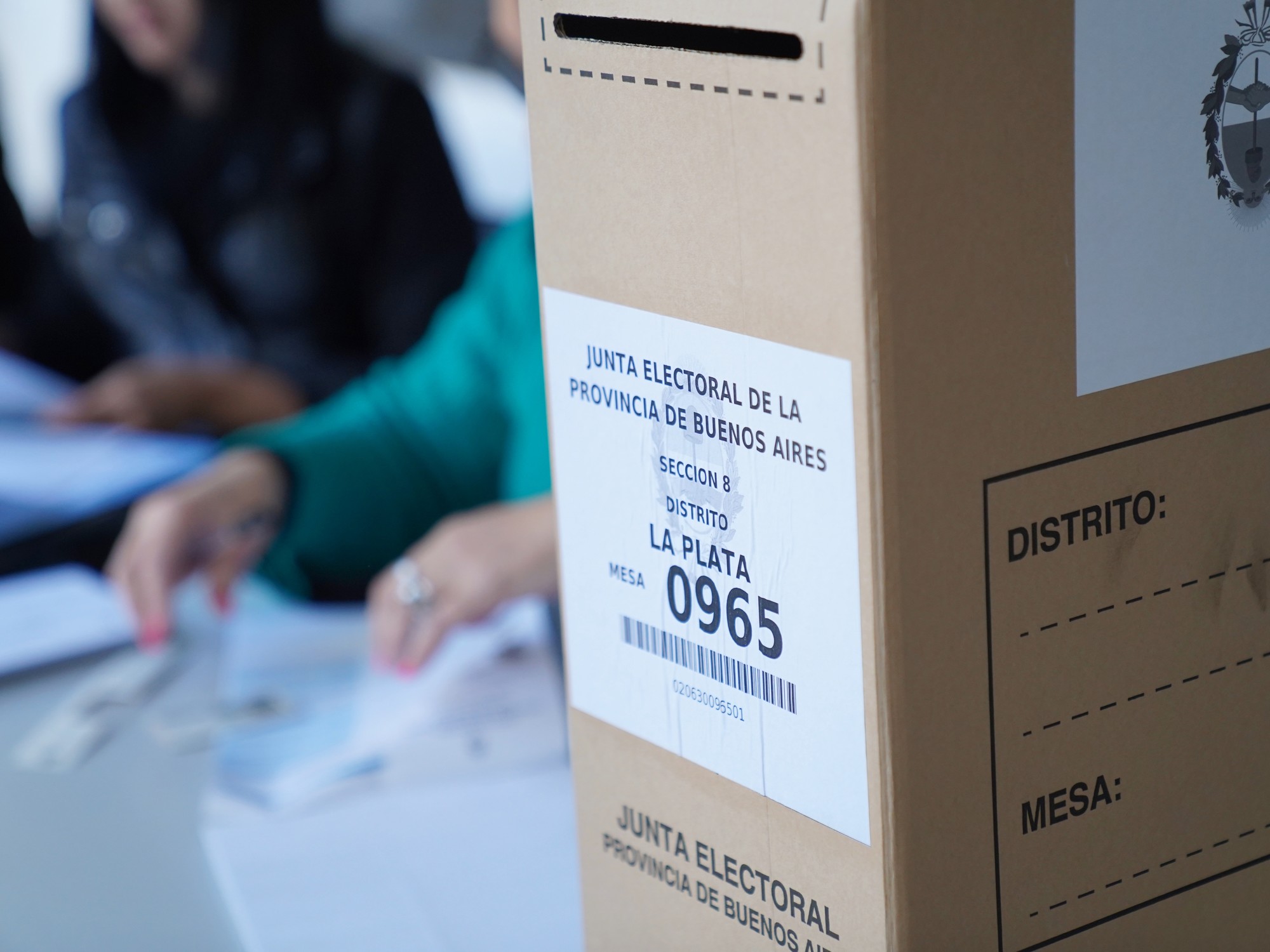 Boleta Única Papel: así son los 24 modelos disponibles para votar este 26 de octubre