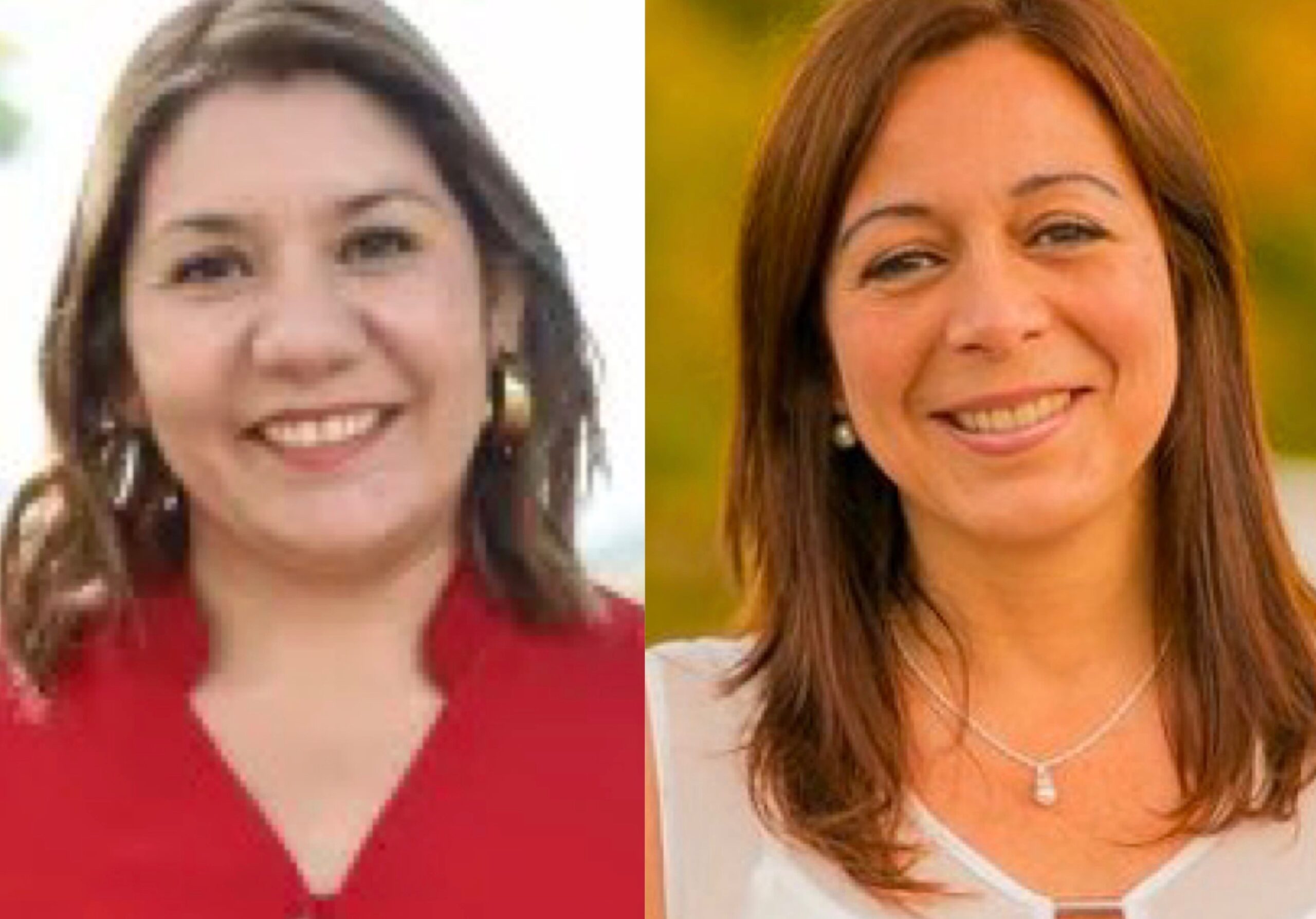 Frigerio propuso a dos exdiputadas peronistas como conjuezas del Superior Tribunal