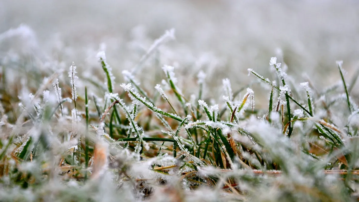 El Gobierno declaró la emergencia por heladas y granizo en producciones de Entre Ríos
