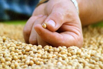 El campo reclama el tratamiento de una importante agenda pendiente