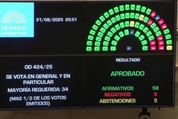 Rechazaron los vetos a la emergencia pediátrica y el financiamiento universitario: cómo votó cada senador