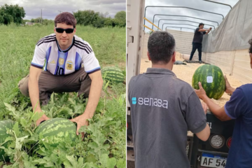 Salió el primer camión con la fruta a granel tras 42 años de una traba eliminada por Milei