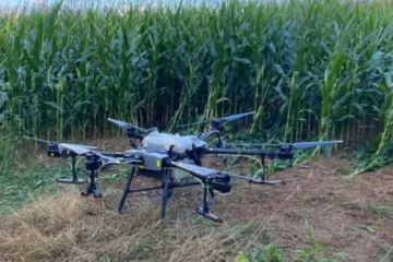 Polémica por fumigaciones: Fiscalía defiende constitucionalidad de las distancias