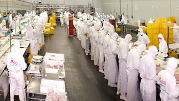 Una gigante avícola cerró una planta en Entre Ríos para bajar costos en plena crisis del sector: qué pasa con los empleos