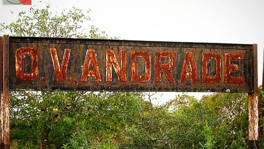 Rosario del Tala: prorrogan la prisión preventiva de un imputado por homicidio