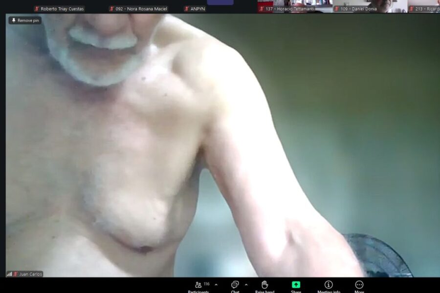 La fallida audiencia por Hidrovía: disertantes desnudos y desde el baño