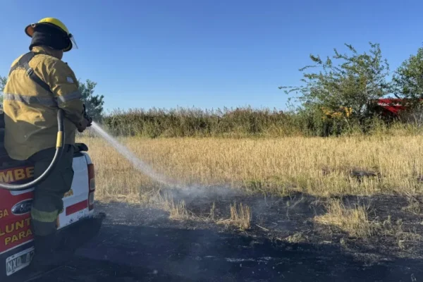 Incendio de pastizales en San Benito afectó cuatro hectáreas; bomberos evitaron que alcanzara un desarmadero