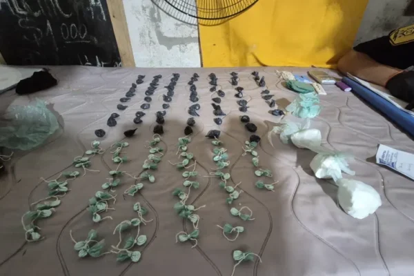 Aprietes narcos en concordia: vecinos obligados a guardar droga, allanamientos secuestran cocaína y detenciones